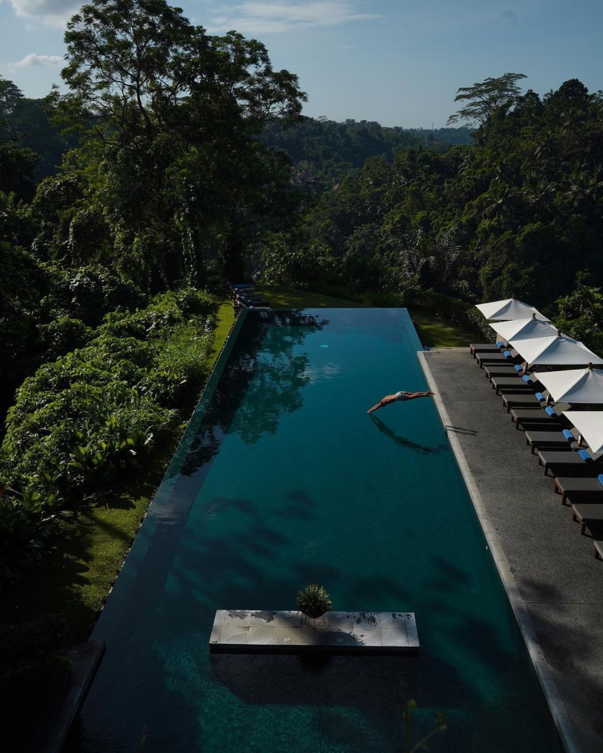 Infinity pool overlooking dense forest in Ubud, Bali.