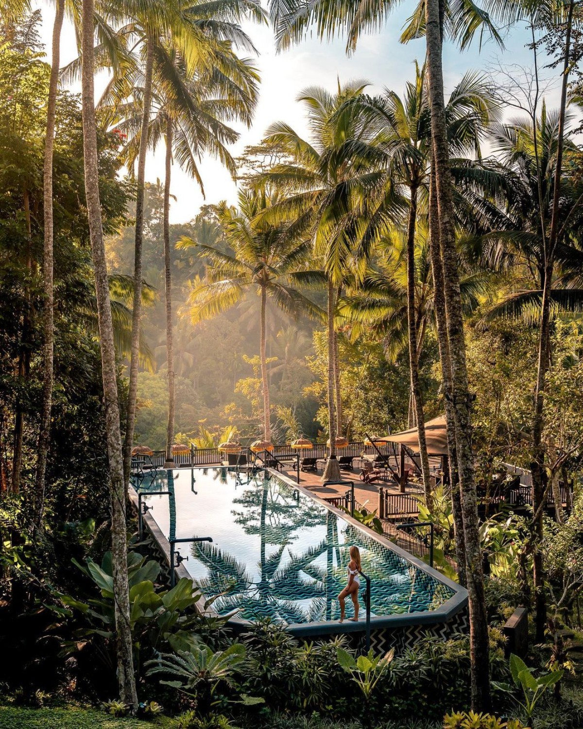 An infinity pool overlooks a lush forest, with tall palm trees and a person soaking in the sun's glow in Ubud, Bali.