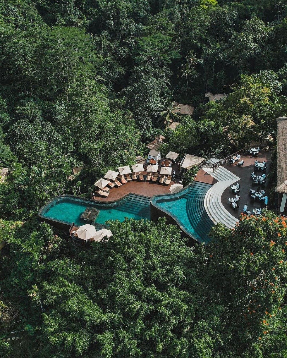 An aerial view of a pool embraced by thick greenery, with deck chairs and a jungle backdrop in Ubud, Bali.