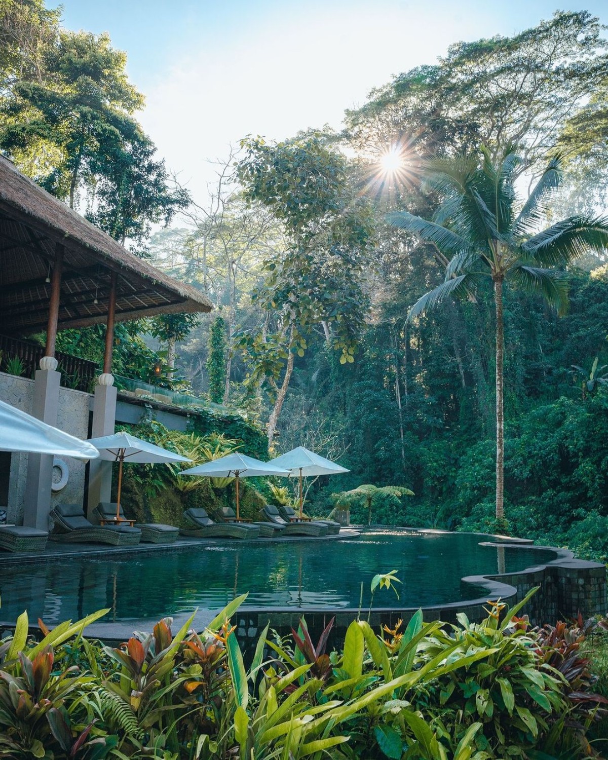 A tranquil pool setting with sunlight filtering through trees, and lounge chairs under umbrellas by the water in Ubud, Bali.