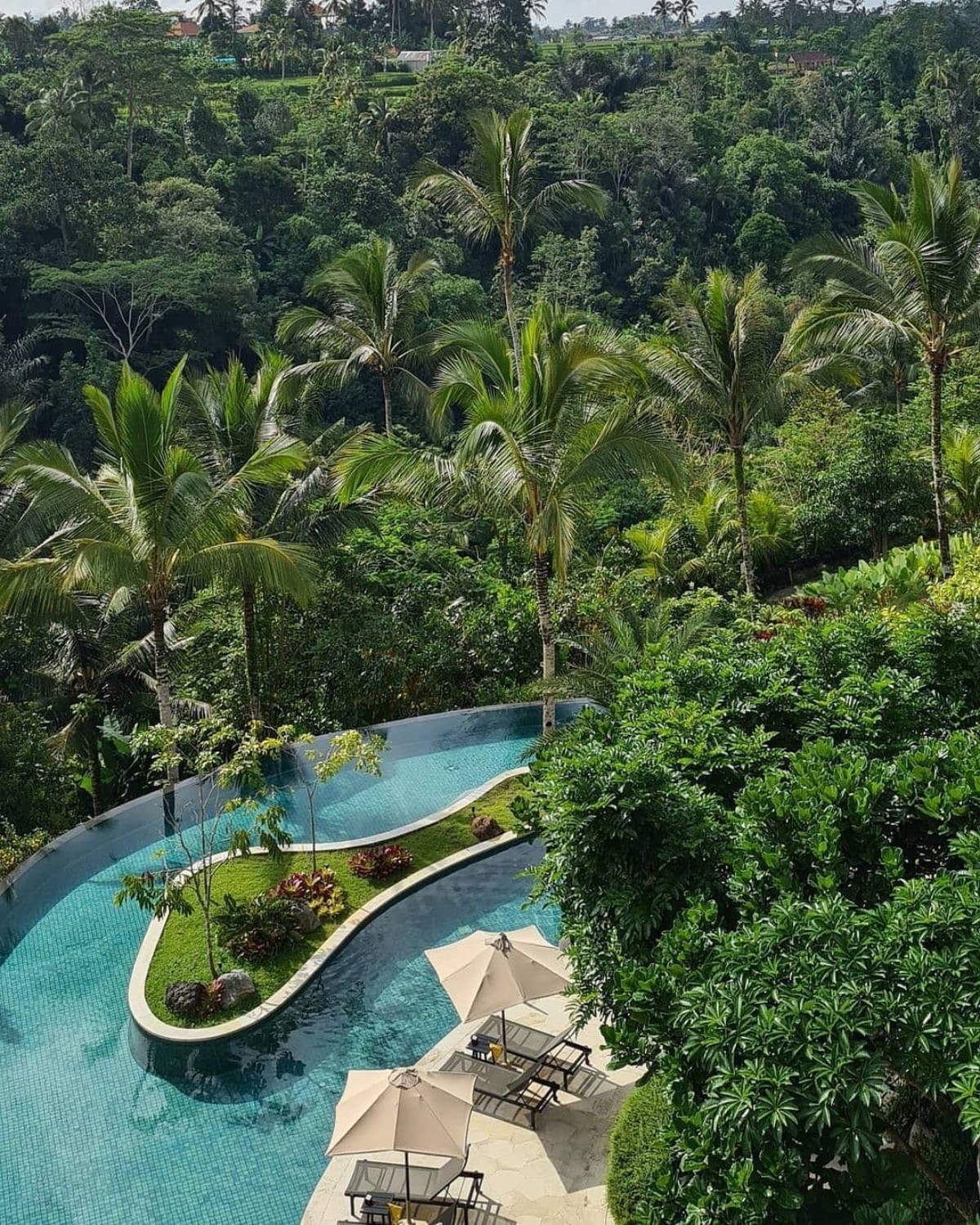 A serene pool curving through lush greenery, flanked by tall palms and lounge chairs with umbrellas in Ubud, Bali.