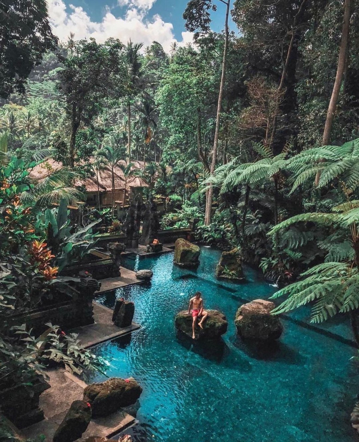 A serene pool nestled amidst dense foliage, with an individual perched on a stone, lost in the surrounding beauty of Ubud, Bali.